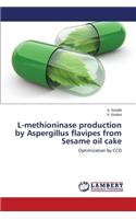L-methioninase production by Aspergillus flavipes from Sesame oil cake
