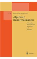 Algebraic Renormalization