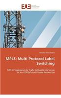 Mpls: Multi Protocol Label Switching