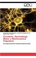 Cerebelo, Aprendizaje Motor y Biomecánica Palpebral