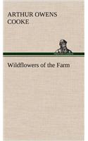 Wildflowers of the Farm