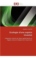 Ecologie d'Une Esp?ce Invasive