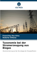 Taxonomie bei der Stromerzeugung aus Biogas