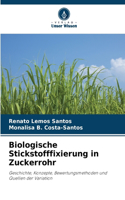 Biologische Stickstofffixierung in Zuckerrohr