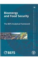 Bioenergy and Food Security