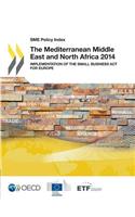 SME Policy Index