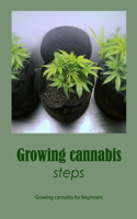 Growing cannabis steps