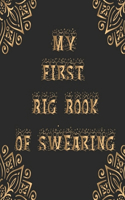 My First Big Book Swearing