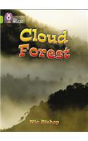 The Cloud Forest