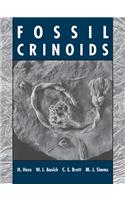 Fossil Crinoids