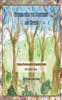 Stories from the Rainforest and Beyond