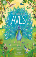 Vida Secreta de Las Aves (the Extraordinary World of Birds)
