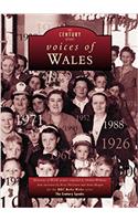 Welsh Voices