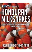 Guide to Honduran Milksnakes