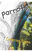 Parrot Coloring Pages: Beautiful Parrots Drawings for Kids and for Adults Relaxation