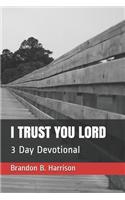 I Trust You Lord
