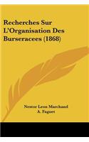 Recherches Sur L'Organisation Des Burseracees (1868)