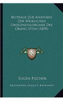 Beitrage Zur Anatomie Der Weiblichen Urogenitalorgane Des Orang-Utan (1898)