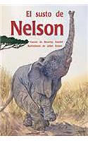 El Susto de Nelson (Nelson Gets Fright): Bookroom Package (Levels 19-20)(Rigby PM Coleccion)