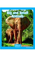 Big and Small Animals