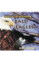 Bald Eagles