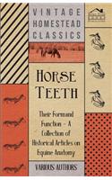 Horse Teeth - Their Form and Function - A Collection of Historical Articles on Equine Anatomy