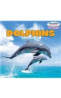 Dolphins