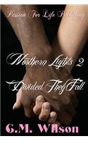 Northern Lights 2