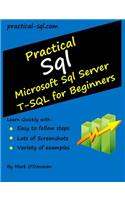Practical SQL: Microsoft SQL Server T-SQL for Beginners: Microsoft SQL Server T-SQL for Beginners(English)