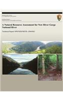 Natural Resource Assessment for New River Gorge National River