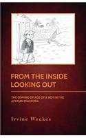 From The Inside Looking Out: The Coming Of Age Of A Boy In The African Diaspora