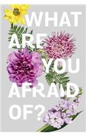 What Are You Afraid Of?