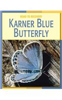 Karner Blue Butterfly