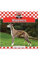 Whippets