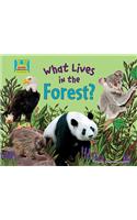 What Lives in the Forest?