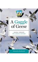 Gaggle of Geese: Animal Groups on Lakes & Rivers