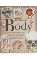 The Human Body