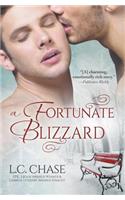 A Fortunate Blizzard