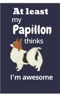 At least My Papillon thinks I'm awesome: For Papillon Dog Fans