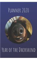 Planner 2020 - Year of The Dachshund