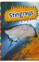 Stingrays