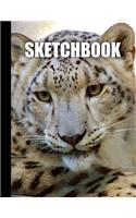 Sketchbook