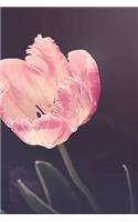 Tulips Notebook