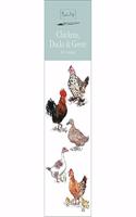 MADELEINE FLOYD CHICKENS DUCKS & GEESE S: (SLIM STANDARD)