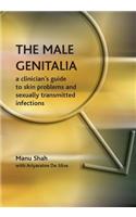 The Male Genitalia