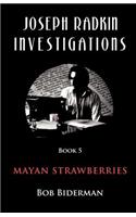 Joseph Radkin Investigations - Book 5