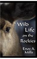 Wild Life on the Rockies
