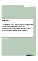 Zielsetzung und Umsetzung des Programms zur Steigerung der Effizienz des mathematisch-naturwissenschaftlichen Unterrichts in Baden-Württemberg
