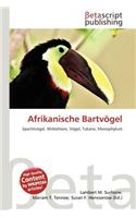 Afrikanische Bartvogel