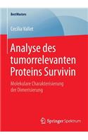 Analyse Des Tumorrelevanten Proteins Survivin